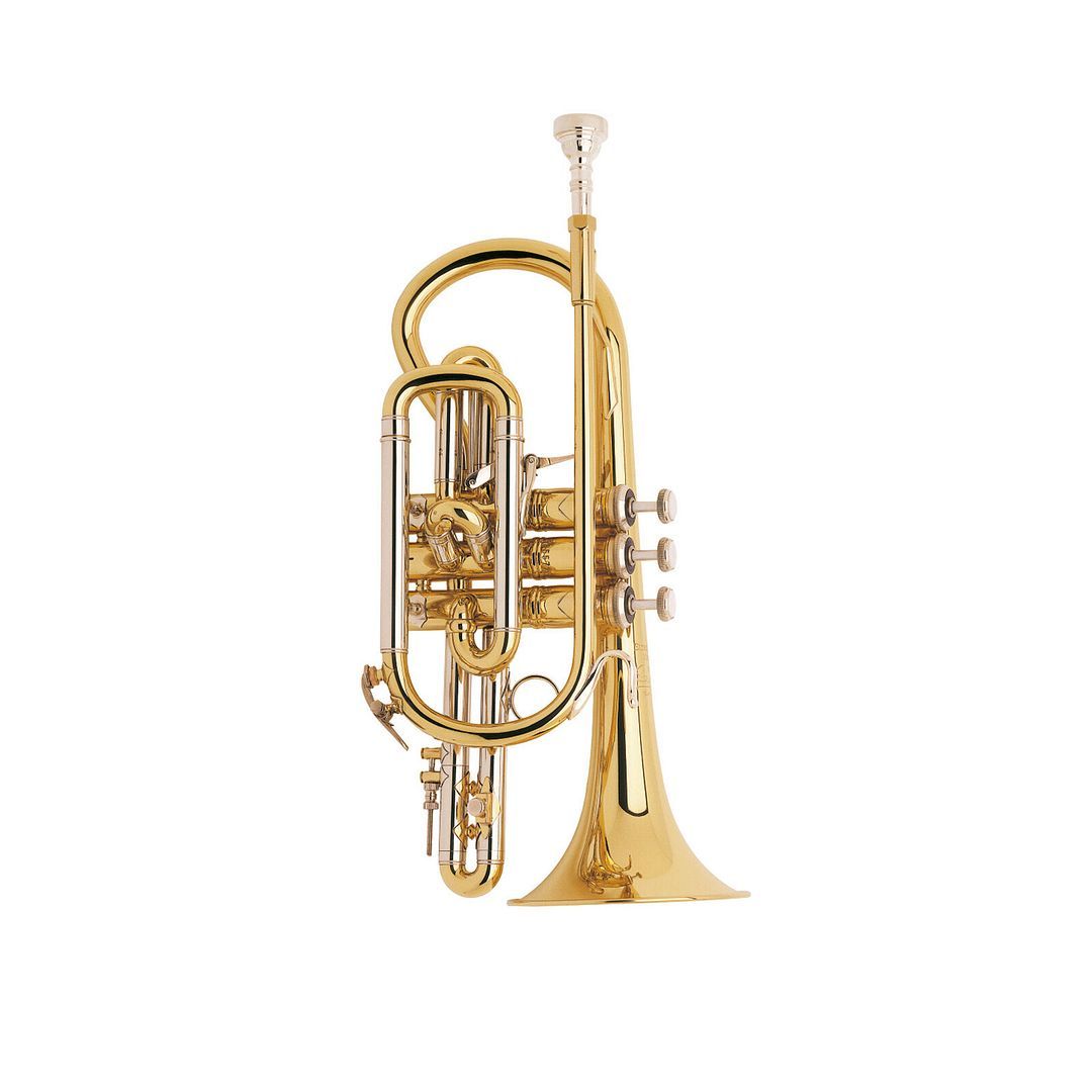 Bach Stradivarius 184ML Shepherd's Crook Short Cornet Ready To