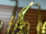 Forestone RX Unlacquer Alto Saxophone