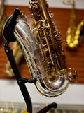 Forestone GX Silver Gold Two Tone Color Series Alto Saxophone