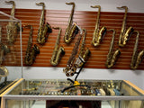 Forestone GX Silver Gold Two Tone Color Series Alto Saxophone