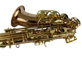 Yanagisawa AWO2 Bronze Alto Saxophone READY TO SHIP!