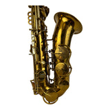 King Zephyr Special FULL PEARL Alto Saxophone w/ Silver Neck!