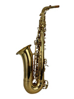 Yanagisawa 991 A991 Alto Saxophone AWO10