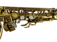 Selmer Super Action 80 Series II Alto Saxophone