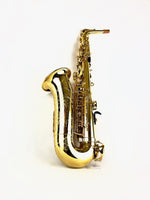 Selmer Paris AXOS Model 52 Professional Alto Saxophone 52AXOS READY TO SHIP!