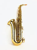 Yanagisawa AWO10 Elite Alto Saxophone NEW IN BOX!