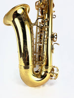 Yanagisawa AWO10 Elite Alto Saxophone NEW IN BOX!