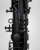 Selmer Paris 65BL Privilege Bass Clarinet w/Black Keys - Ready To Ship!