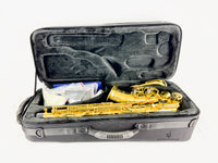 Selmer SAS711 Pro Alto Saxophone NEW MODEL READY TO SHIP!