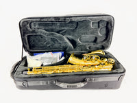 Selmer SAS711 Pro Alto Saxophone READY TO SHIP!!