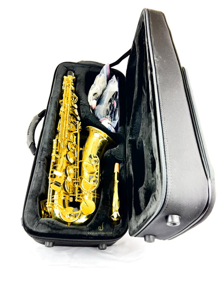 Selmer SAS711 Pro Alto Saxophone NEW MODEL READY TO SHIP!