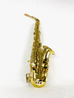 Selmer SAS711 Pro Alto Saxophone NEW MODEL READY TO SHIP!