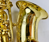 Selmer SAS711 Pro Alto Saxophone NEW MODEL READY TO SHIP!