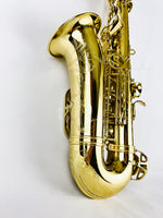 Selmer SAS711 Pro Alto Saxophone NEW MODEL READY TO SHIP!