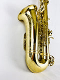 Selmer SAS711 Pro Alto Saxophone NEW MODEL READY TO SHIP!
