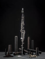 Selmer Paris B16MUSE Bb Clarinet Brand New Model READY TO SHIP!