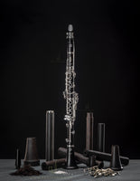 Selmer Paris Muse Bb Clarinet w/ 19 Key Eb Lever B16MUSE19 READY TO SHIP!