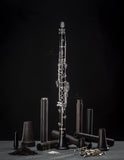 Selmer Paris Muse Bb Clarinet w/ 19 Key Eb Lever B16MUSE19 READY TO SHIP!