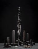 Selmer Paris B16MUSE Bb Clarinet Brand New Model READY TO SHIP!