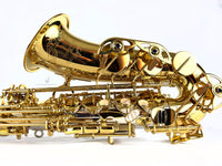 Yanagisawa AWO30 Elite Solid Silver Neck & Body Alto Saxophone New In Box