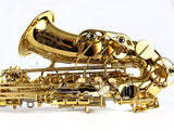 Yanagisawa AWO30 Elite Solid Silver Neck & Body Alto Saxophone READY TO SHIP
