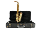 Yanagisawa AWO2 Bronze Alto Saxophone New In Box!