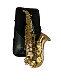 Yanagisawa SCWO20 Bronze Elite Curved Soprano Saxophone New In Box!