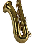 Yanagisawa TWO1 Professional Tenor Saxophone READY TO SHIP!