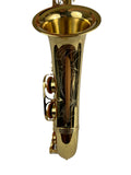 Yanagisawa TWO1 Professional Tenor Saxophone READY TO SHIP!