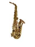 Yanagisawa AWO20 Bronze Elite Alto Saxophone New In Box!