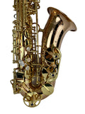 Yanagisawa AWO20 Bronze Elite Alto Saxophone New In Box!