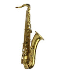 Yanagisawa T901 T-901 Professional Tenor Saxophone GREAT DEAL!