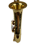Yanagisawa TWO1 Professional Tenor Saxophone READY TO SHIP!