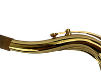 Yanagisawa TWO1 Professional Tenor Saxophone READY TO SHIP!