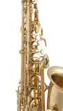 Selmer SAS411 LaVoix II Gold Laq Alto Saxophone Ready To Ship!