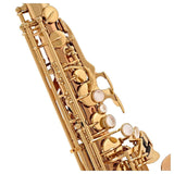 Yanagisawa AWO20 Bronze Pro Alto Saxophone Brand New In Box