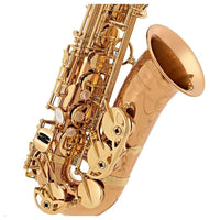 Yanagisawa AWO20 Bronze Pro Alto Saxophone Brand New In Box