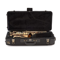 Yanagisawa AWO20 Bronze Pro Alto Saxophone Brand New In Box