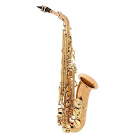 Yanagisawa AWO20 Bronze Pro Alto Saxophone Brand New In Box
