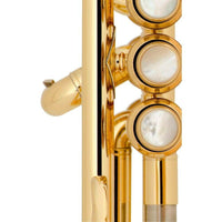 Bach Stradivarius LT190L1B Lightweight Pro Bronze Bell Trumpet New In Box